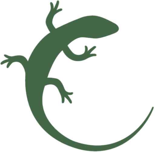 logo formentera ibicenca